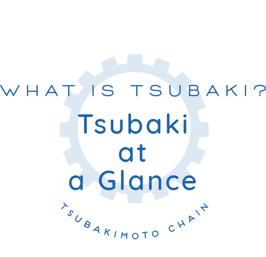WHAT IS TSUBAKI? // Tsubaki at a Glance // TSUBAKIMOTO CHAIN 