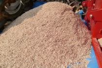 Crushed wood chips