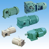 Gear Motor