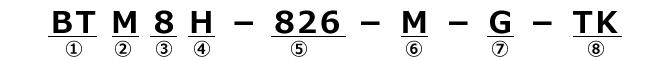 BTC8H-M/BTM8H-M Model Numbering Example