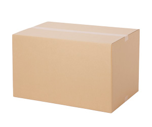 Cardboard box