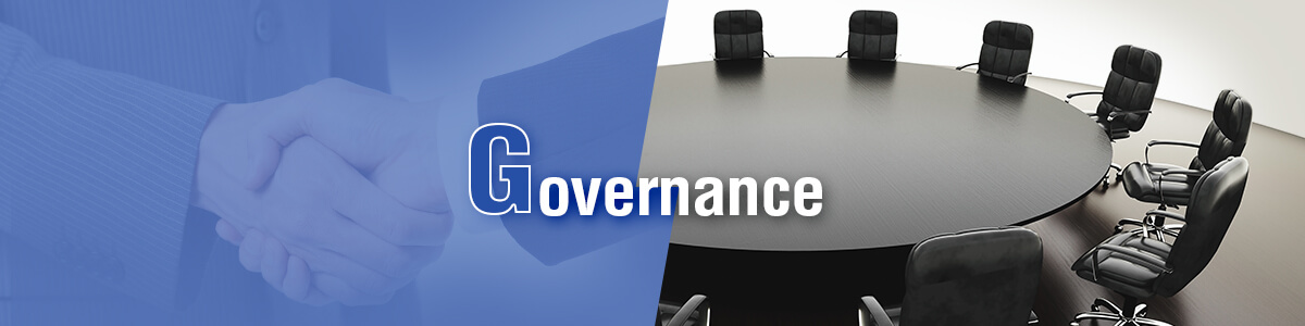 Governance (G) 