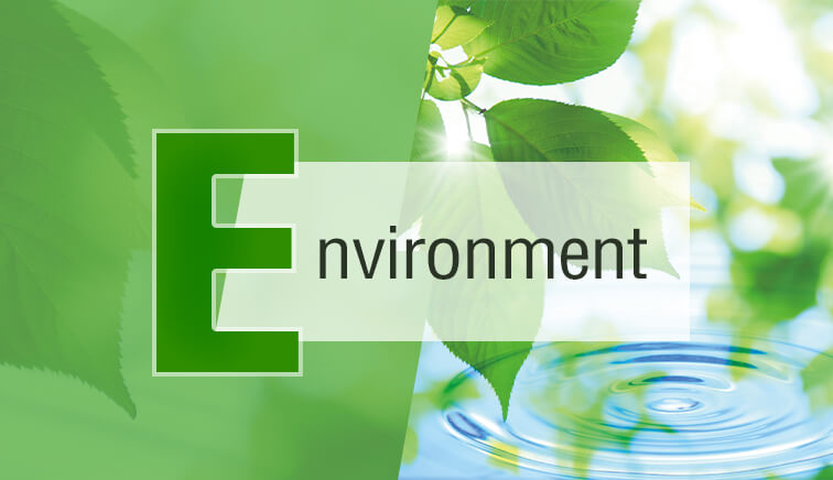 Environment (E)